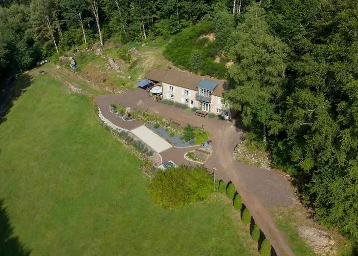 Gite Du Bois Des Hauts Les Mille Etangs