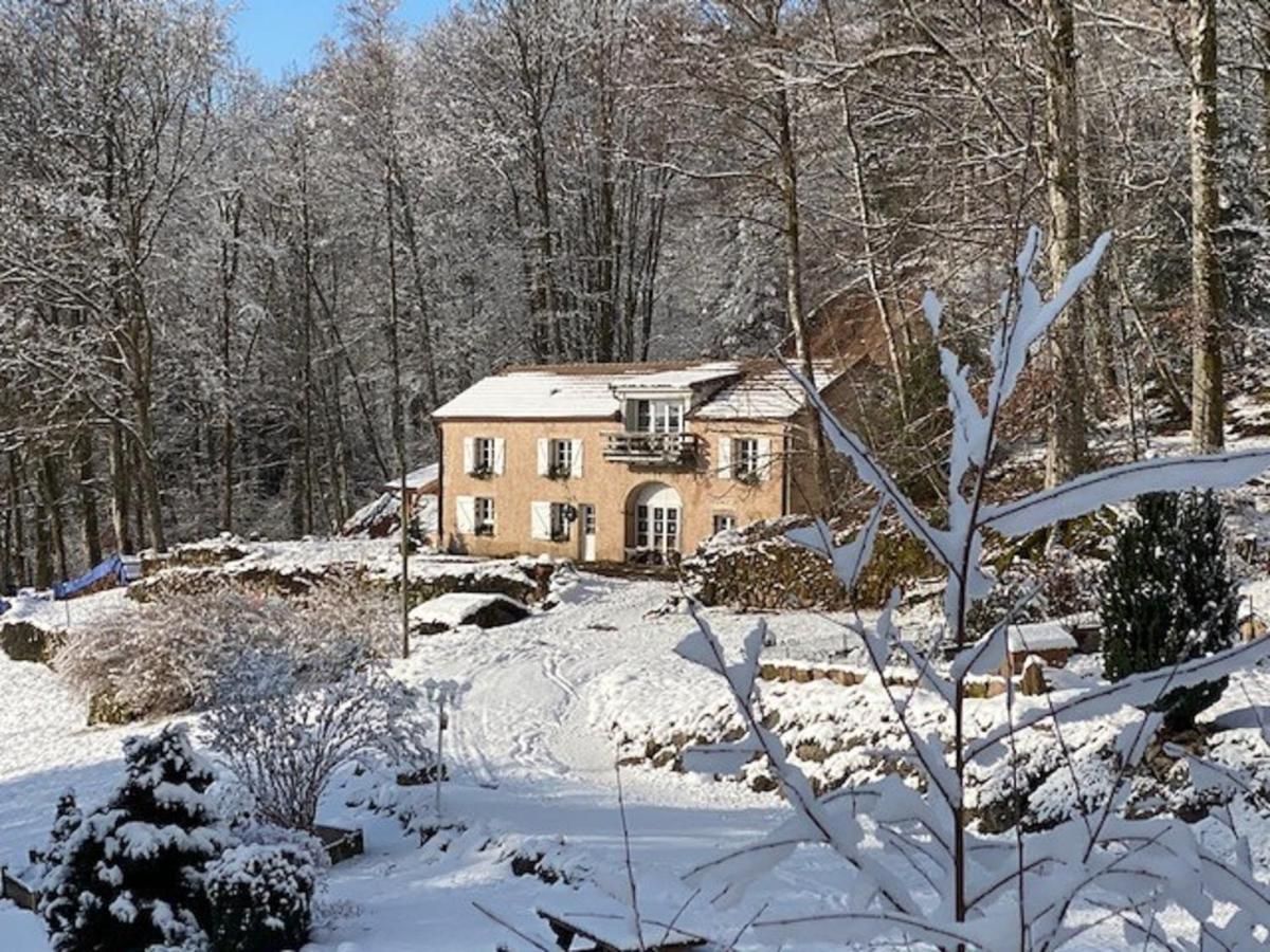 Du Bois Des Hauts Les Mille Etangs Casa vacanze La Lanterne-et-les-Armonts