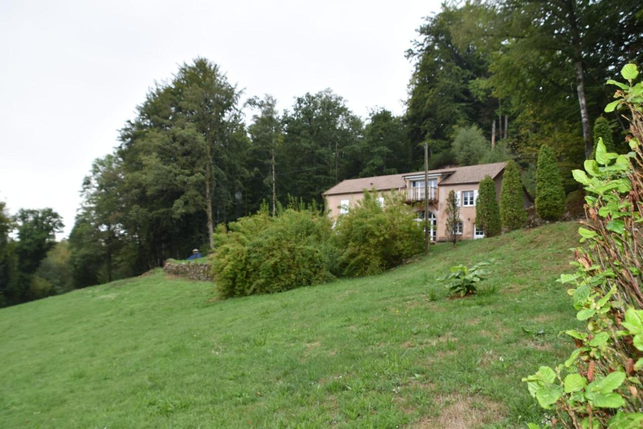 Du Bois Des Hauts Les Mille Etangs *